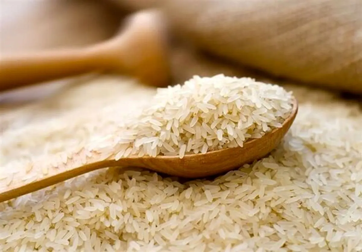 این برنج کیلویی ۹۹ هزار تومان شد| جدول قیمت انواع برنج


