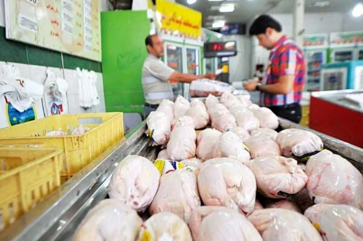 جدیدترین قیمت مرغ در بازار | قیمت مرغ چهارشنبه 12 مرداد