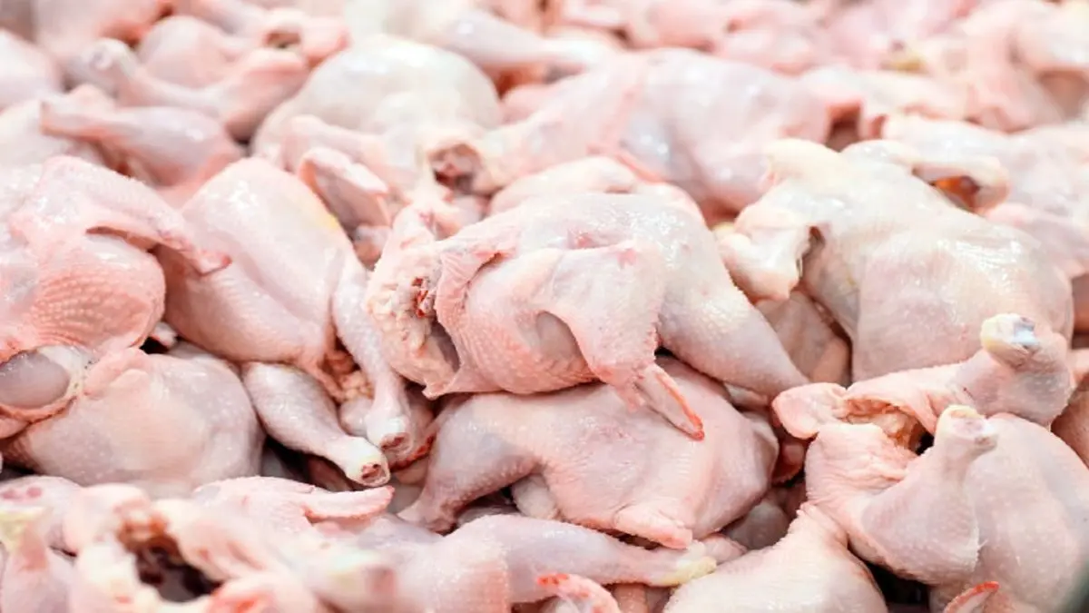 اعلام قیمت جدید مرغ: هر کیلو ۲۹ تا ۳۴ هزار تومان 