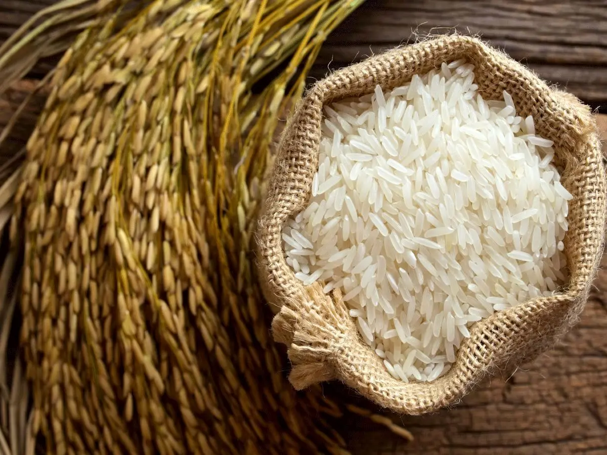قیمت برنج در شب عید| جدول قیمت برنج
